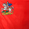 Флаги субъектов Российской Федерации